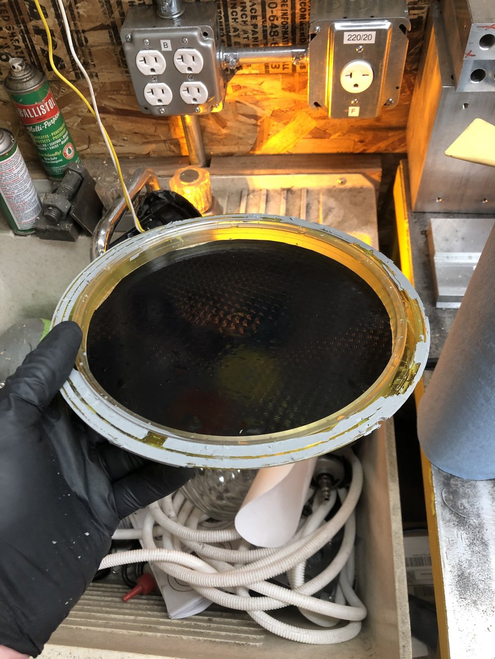Shop Traffic Light Tint